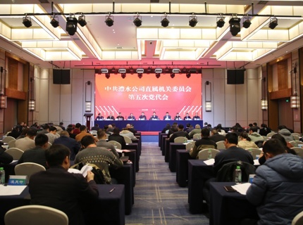 中共澧水公司直屬機(jī)關(guān)委員會第五次黨員代表大會召開